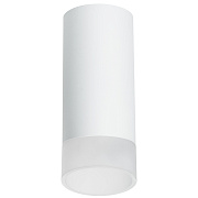 Светильник настенно-потолочный Lightstar Rullo R648681 50Вт GU10