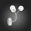 Бра ST Luce DEMELE SL376.501.03 6Вт G4