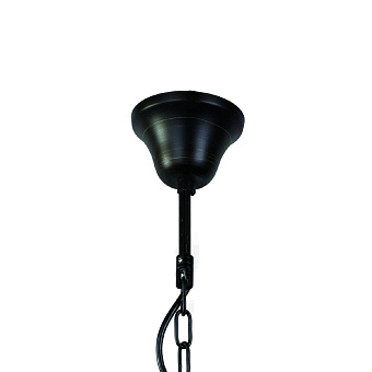 Люстра подвесная Favourite Kiara 2057-5P 200Вт 5 лампочек E14