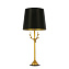 Настольная лампа ST Luce VELOSSA SL1123.204.01 40Вт E14