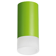 Светильник настенно-потолочный Lightstar Rullo R43431 50Вт GU10