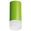 Светильник настенно-потолочный Lightstar Rullo R43431 50Вт GU10