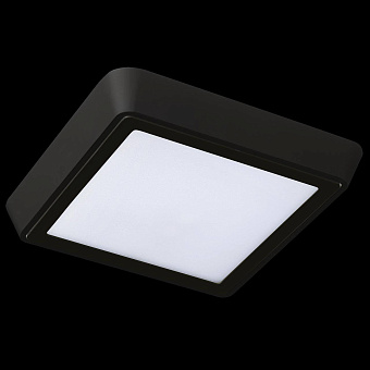 Светильник точечный накладной Lightstar Urbano 216874 20Вт LED