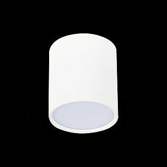 Светильник точечный накладной ST Luce RENE ST113.542.05 5Вт LED