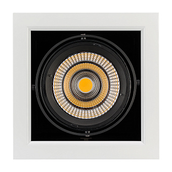 Светильник карданный Arlight CL-Kardan 026500 25Вт LED
