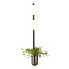 Светильник настенный Odeon FLOWER 4681/2WA 80Вт E14