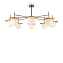 Светильник подвесной Freya Camelia FR5202PL-08BS 60Вт E27
