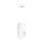 Светильник настенно-потолочный Lightstar Rullo RP348686 15Вт GX 5.3