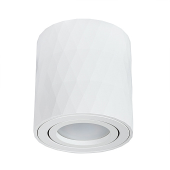 Светильник точечный накладной Arte Lamp FANG A5559PL-1WH 50Вт GU10