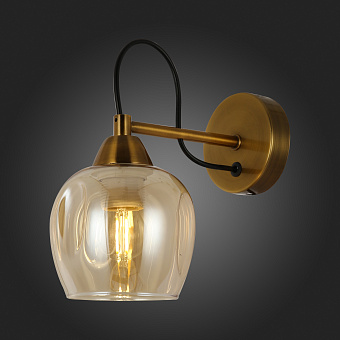 Светильник настенный Evoluce ACRO SLE110001-01 60Вт E27