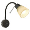 Спот Arte Lamp LETTURA A7009AP-1BR 40Вт 1 лампа E14