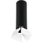 Светильник настенно-потолочный Lightstar Rullo R497436 50Вт GU10