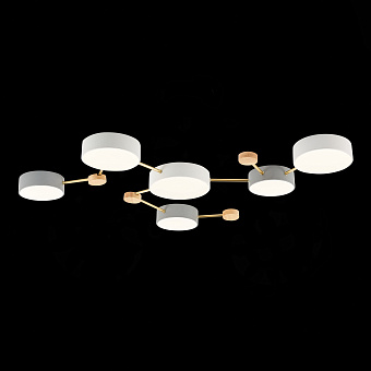 Светильник потолочный Evoluce DOSSENA SLE600102-06 90Вт LED