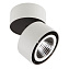 Светильник точечный накладной Lightstar Forte Muro 214850 40Вт LED