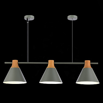 Светильник подвесной Evoluce MODICA SLE125113-03 120Вт E14