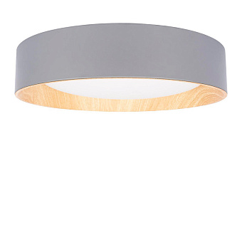 Светильник потолочный Loft It Coin 10202 Grey 36Вт LED