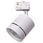Трековый светильник Lightstar Canno Led 301562 15Вт LED белый для трёхфазного трека