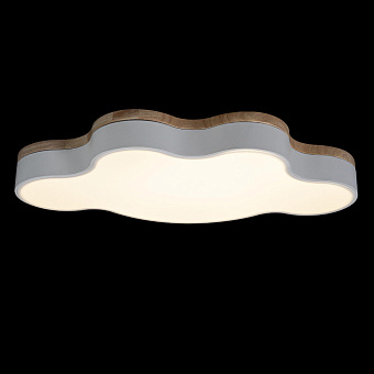 Светильник потолочный Loft It Axel 10005/36 White 36Вт LED