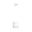 Светильник настенно-потолочный Lightstar Rullo RP348680 15Вт GX 5.3