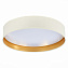Торшер Evoluce BRESCIA SLE300552-01 50Вт LED