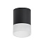 Светильник настенно-потолочный Lightstar Rullo R348781 15Вт GX 5.3