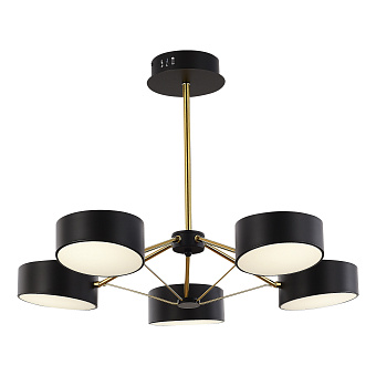 Светильник потолочный Evoluce VALLE SLE6005-402-05 50Вт LED