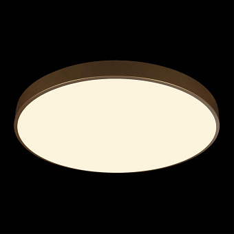 Светильник потолочный Loft It Flims 10228/B 48Вт LED