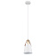 Светильник подвесной Arte Lamp THOMAS A7032SP-1WH 60Вт E27