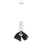 Светильник настенно-потолочный Lightstar Rullo RP486437 50Вт GU10