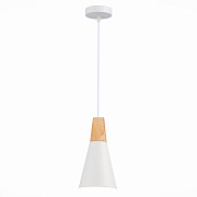 Светильник подвесной Evoluce MODICA SLE125153-01 40Вт E14