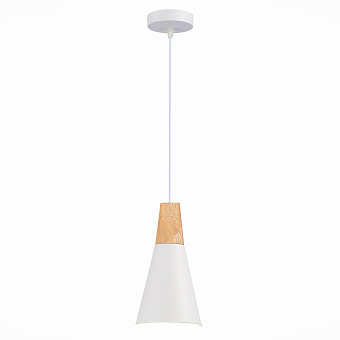 Светильник подвесной Evoluce MODICA SLE125153-01 40Вт E14