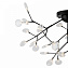 Светильник потолочный Freya Florencia FR5049CL-36B 3Вт G4