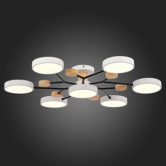 Светильник потолочный Evoluce FAEMA SLE6006-502-07 84Вт LED