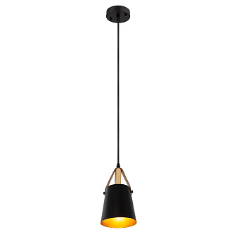 Светильник подвесной Arte Lamp THOMAS A7032SP-1BK 60Вт E27