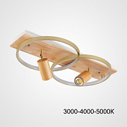 Светильник потолочный ImperiumLOFT Didrika 223834-23 44Вт LED