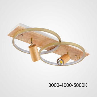 Светильник потолочный ImperiumLOFT Didrika 223834-23 44Вт LED