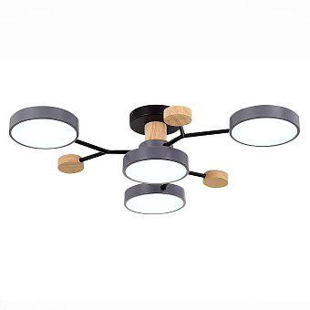 Светильник потолочный Evoluce FAEMA SLE6006-702-04 48Вт LED