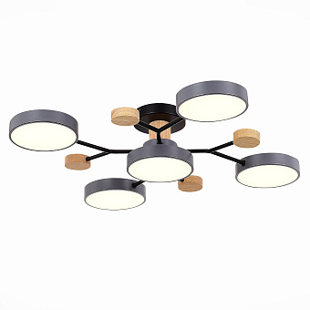 Светильник потолочный Evoluce FAEMA SLE6006-702-05 60Вт LED