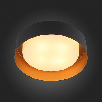 Светильник потолочный ST Luce CHIO SL392.422.04 160Вт E14