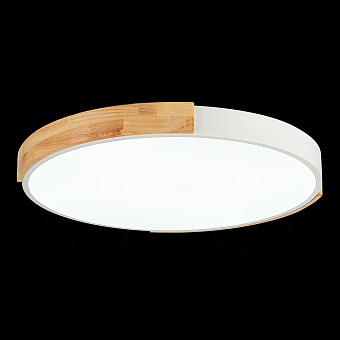 Светильник потолочный Evoluce DELIA SLE201352-01 40Вт LED
