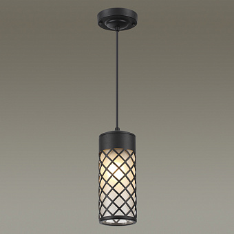 Светильник фасадный Odeon NATURE 4834/1 60Вт IP44 E27 чёрный