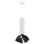 Светильник настенно-потолочный Lightstar Rullo RP496437 50Вт GU10