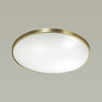 Светильник настенно-потолочный Sonex Lota Bronze 2089/DL 48Вт LED