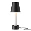 Настольная лампа Maytoni Tet-a-tet MOD104TL-3AB3K 3Вт LED