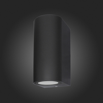 Светильник архитектурный ST Luce BORGO SL9001.401.02 10Вт IP54 GU10 чёрный