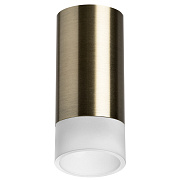 Светильник настенно-потолочный Lightstar Rullo R43131 50Вт GU10