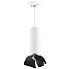 Светильник настенно-потолочный Lightstar Rullo RP496437 50Вт GU10