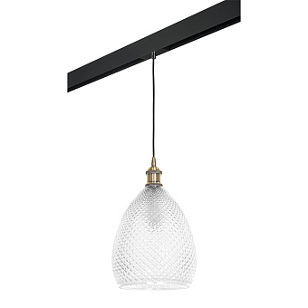 Трековый светильник Lightstar Genni PRO798021 40Вт E27 прозрачный для однофазного трека