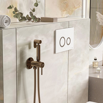 Гигиенический душ WASSERKRAFT Встраиваемая продукция A70938 розовое золото