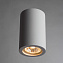 Светильник потолочный Arte Lamp TUBO A9260PL-1WH 35Вт GU10